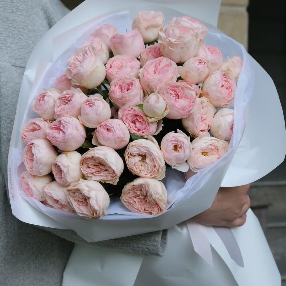 Моно Мэнсфилд