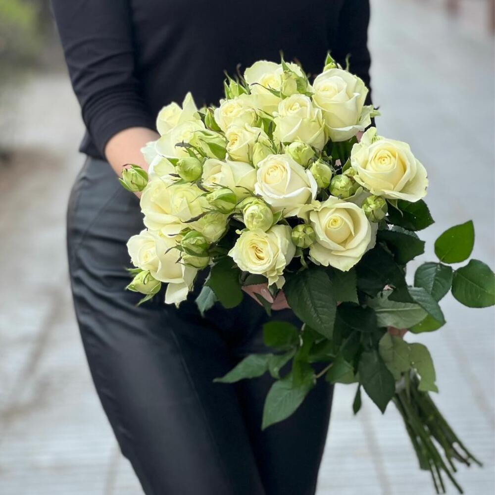 Роза-White